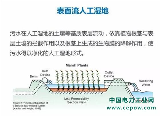 表面流人工湿地