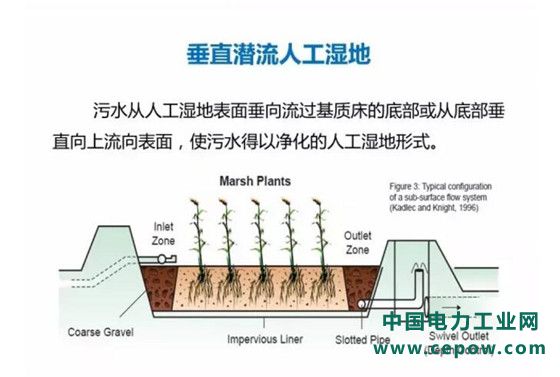 垂直潜流人工湿地