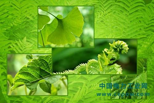 废水处理
