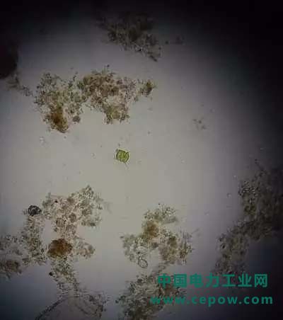 好氧池