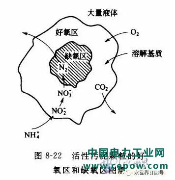 水处理知识