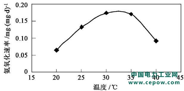 厌氧氨氧化