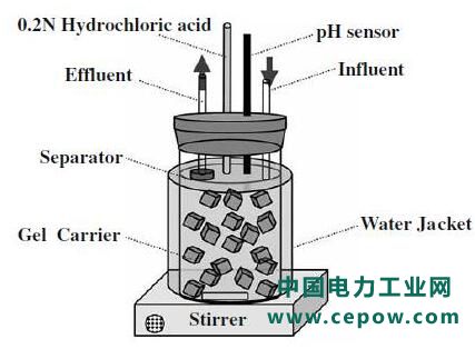 厌氧氨氧化