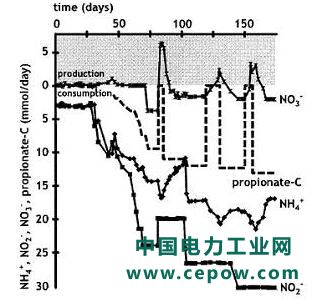 厌氧氨氧化