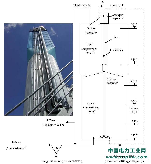 厌氧氨氧化