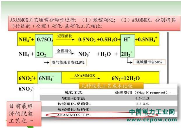 厌氧氨氧化